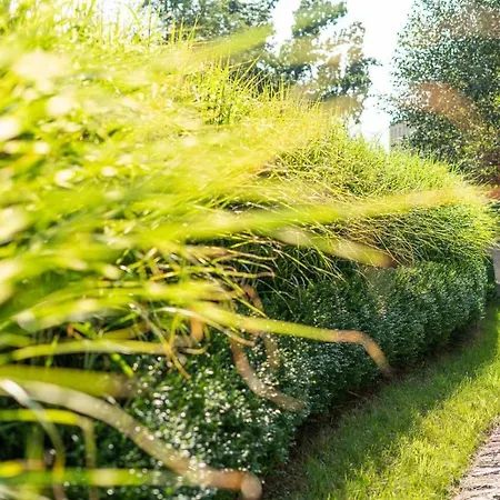 Apartman Artapart Stare *