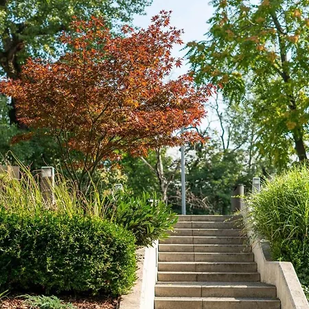 Apartman Artapart Stare *